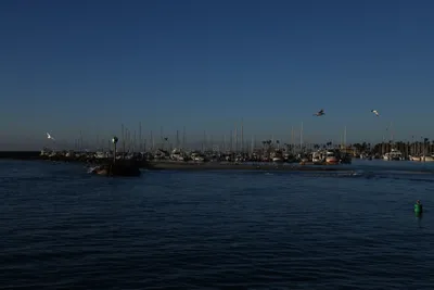 DSC_6567 (Large).JPG